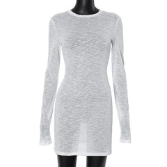 Long sleeve crewneck see through textured mini dress