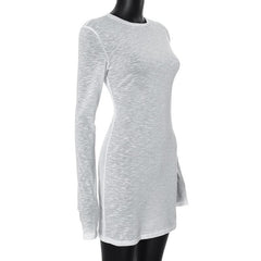 Long sleeve crewneck see through textured mini dress